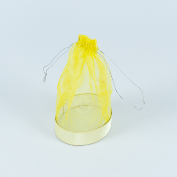 Saculeti diversi, cutie, culoare galben